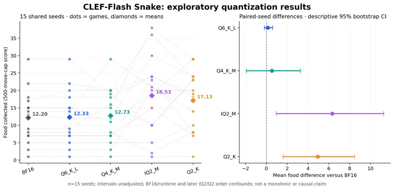 Preview of Less precision, better decisions? Clef-Flash quantization on Snake